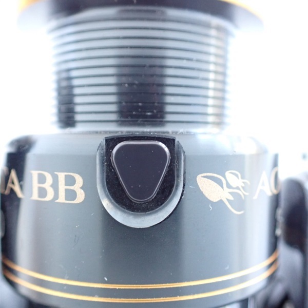 １０アオリスタＢＢ２５００